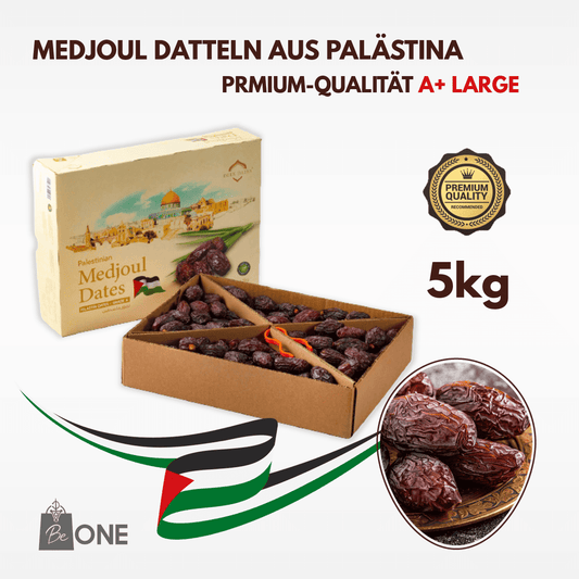 Premium Medjool Datteln aus Palästina Large 5kg